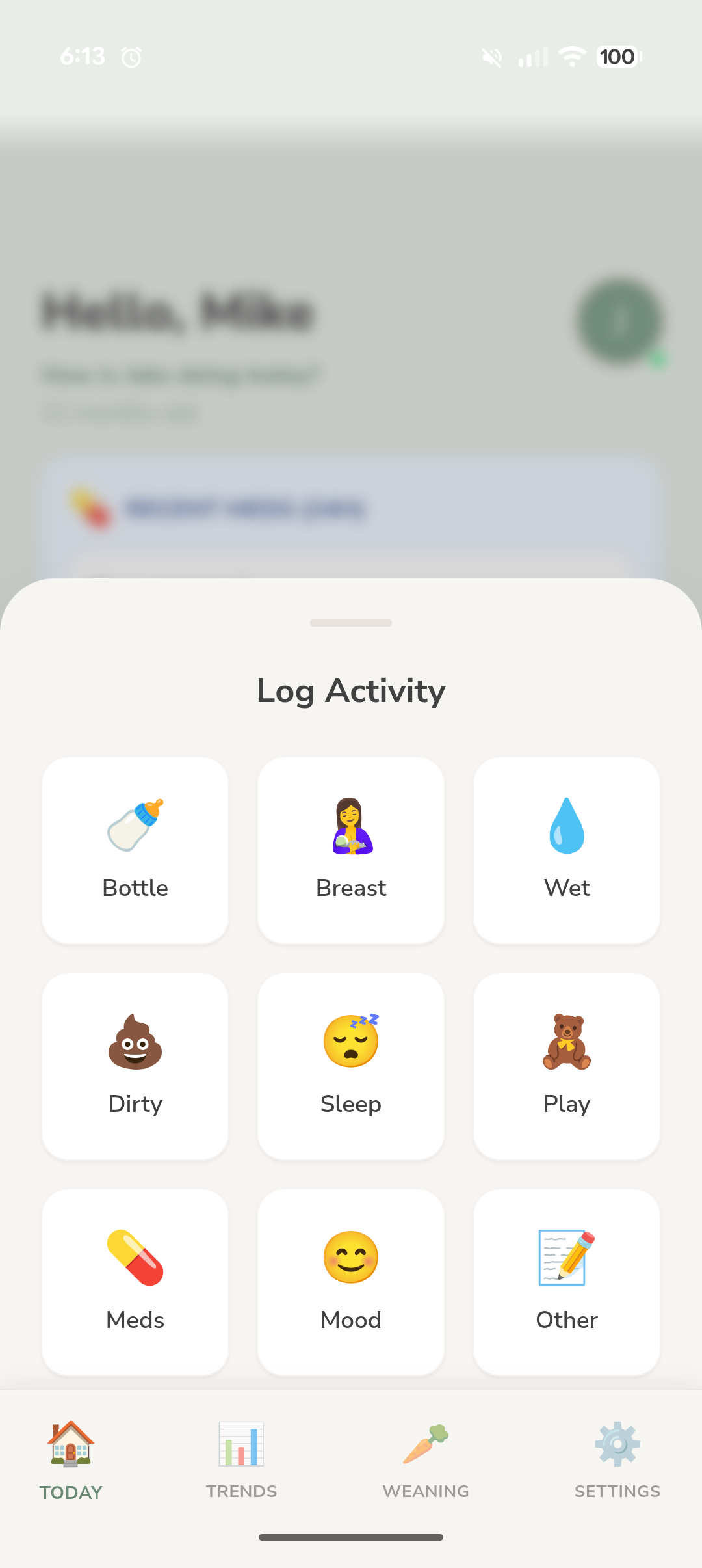 Cub and Compass Baby Tracker Log Activity sheet with Bottle, Breast, Wet, Dirty, Sleep, Play, Meds and Mood